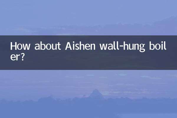 ایشین وال ہنگ بوائلر کے بارے میں کیا خیال ہے؟