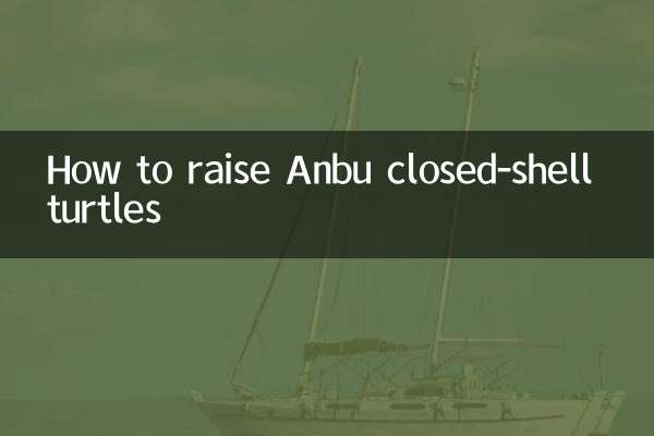 안부갑각거북 사육방법