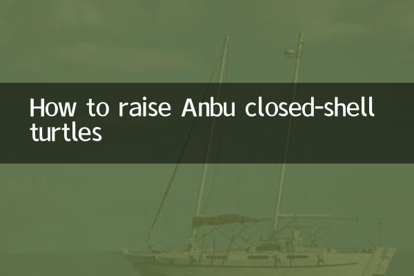 چگونه لاک پشت های غلاف انبو را پرورش دهیم