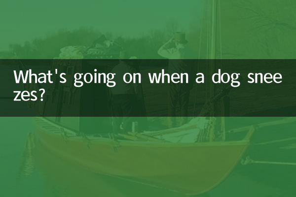 狗打噴嚏怎麼回事