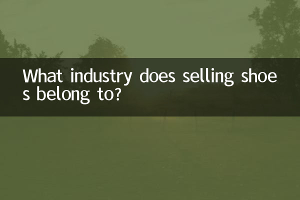 ما هي الصناعة التي ينتمي إليها بيع الأحذية؟