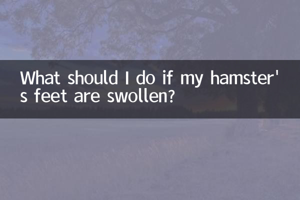 ماذا علي أن أفعل إذا كانت أقدام الهامستر منتفخة؟