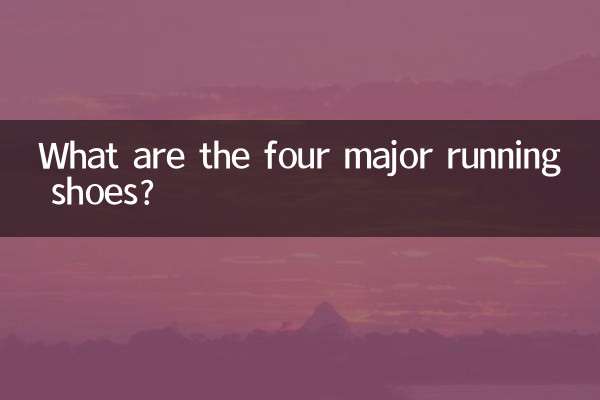 Quali sono le quattro principali scarpe da corsa?