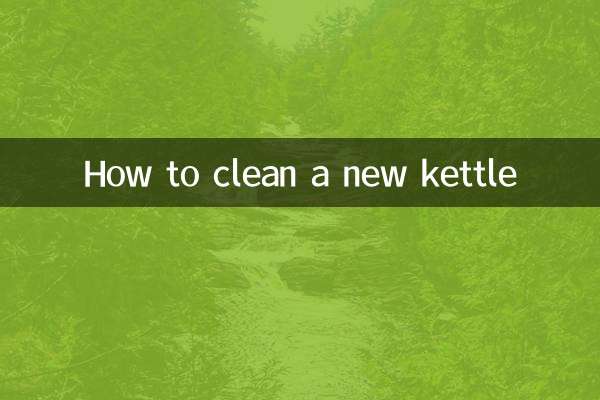 새 주전자를 청소하는 방법