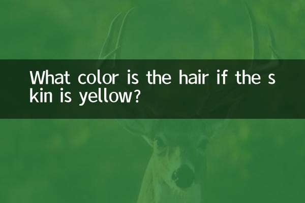 De quelle couleur sont les cheveux si la peau est jaune ?