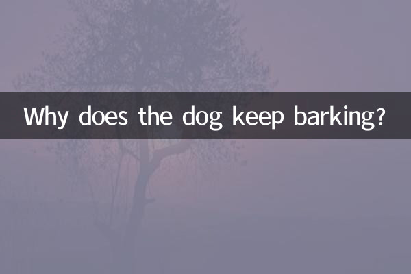 Pourquoi le chien continue-t-il d'aboyer ?