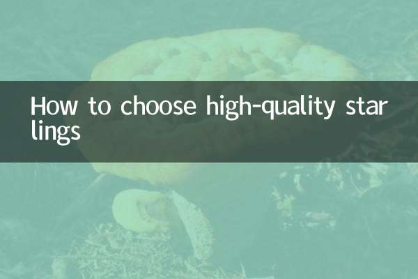 Как выбрать качественных скворцов