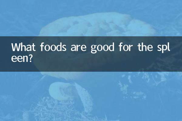 什麼食物是健脾的