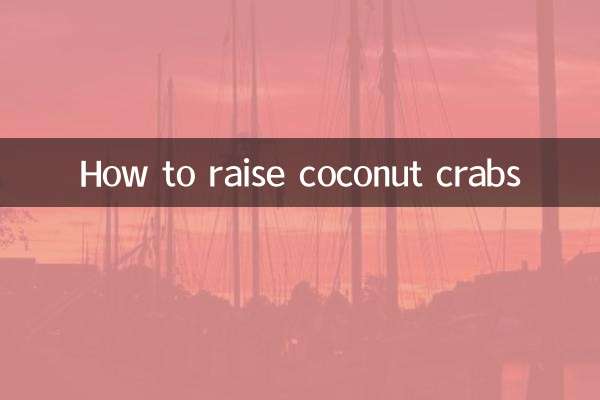 椰子蟹怎麼養