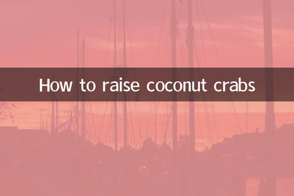 椰子蟹怎麼養