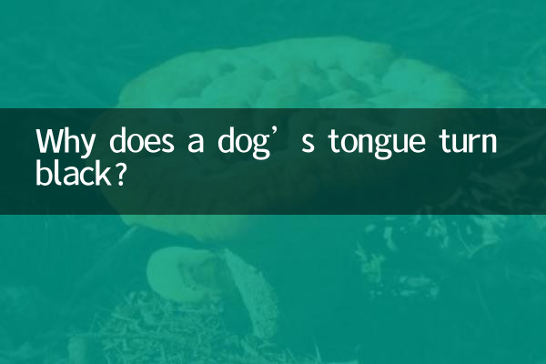 Why does a dog’s tongue turn black?