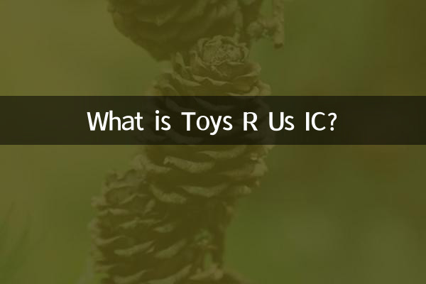 کھلونے کیا ہے؟