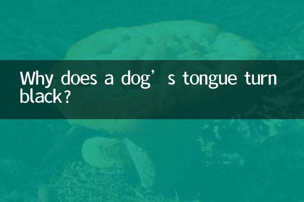 개의 혀가 검게 변하는 이유는 무엇입니까?