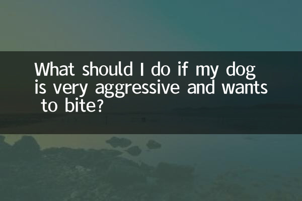 What should I do if my dog is very aggressive and wants to bite?