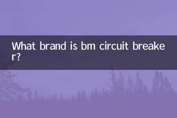 بی ایم سرکٹ بریکر کون سا برانڈ ہے؟