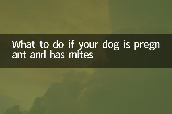 狗狗懷孕有蟎蟲怎麼辦