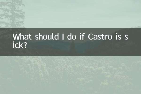 Que dois-je faire si Castro est malade ?