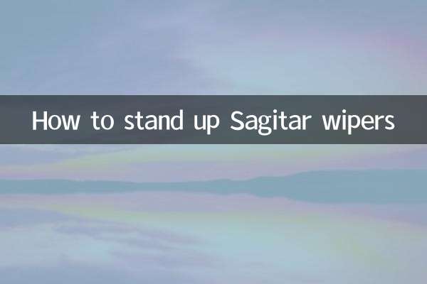 How to stand up Sagitar wipers