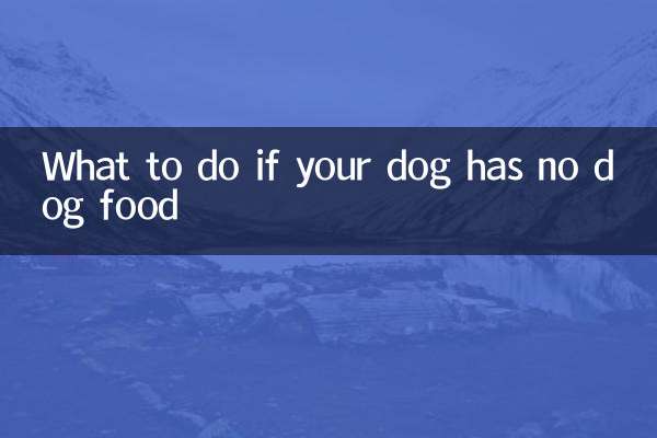 강아지에게 사료가 없을 경우 대처 방법