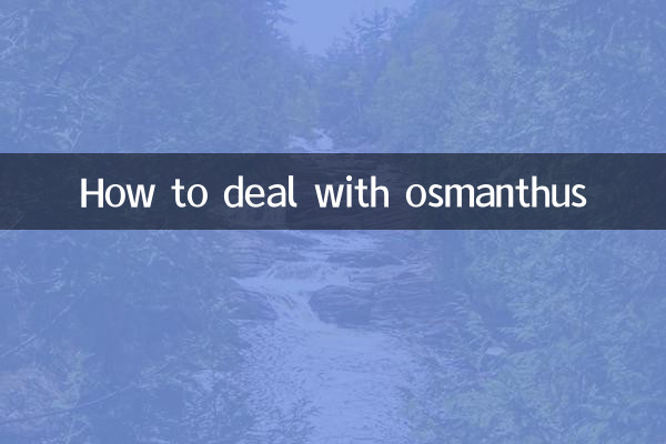 Osmanthus를 다루는 방법