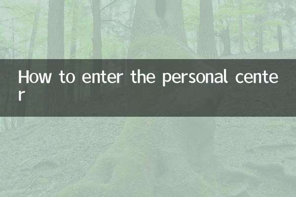 Come entrare nel centro personale