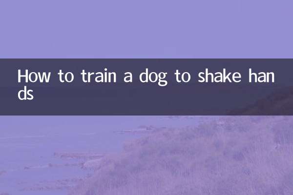 Cómo entrenar a un perro para que le dé la mano
