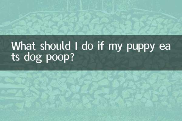 子犬が犬のうんちを食べたらどうするか