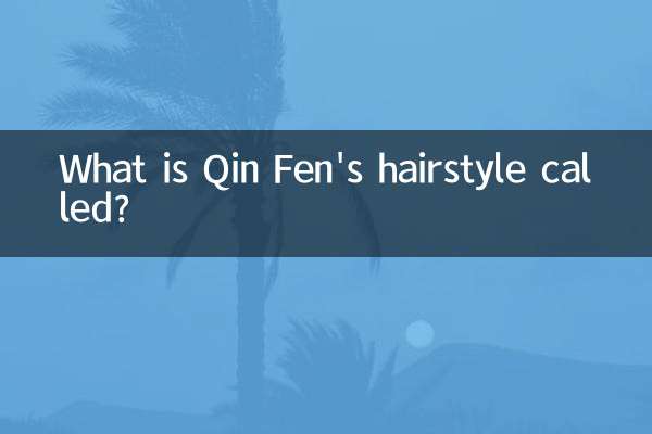 ¿Cómo se llama el peinado de Qin Fen?