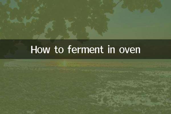 How to ferment in oven