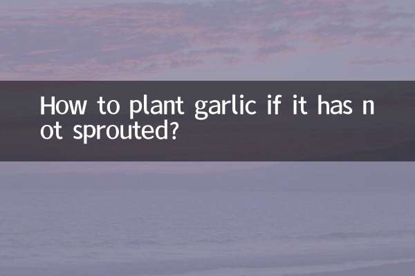 싹이 나지 않은 경우 마늘을 심는 방법은 무엇입니까?