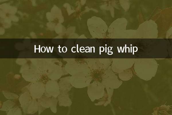 نحوه تمیز کردن شلاق خوک