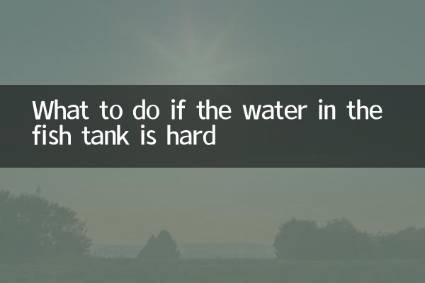 Qué hacer si el agua de la pecera está dura