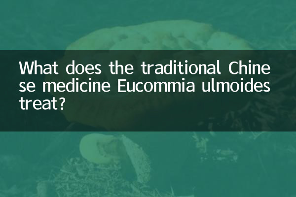 पारंपरिक चीनी दवा यूकोमिया उलमोइड्स क्या इलाज करती है?