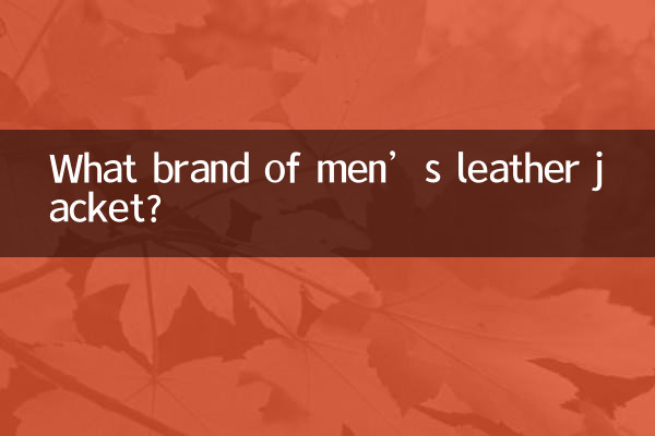 Quelle marque de veste en cuir pour homme ?