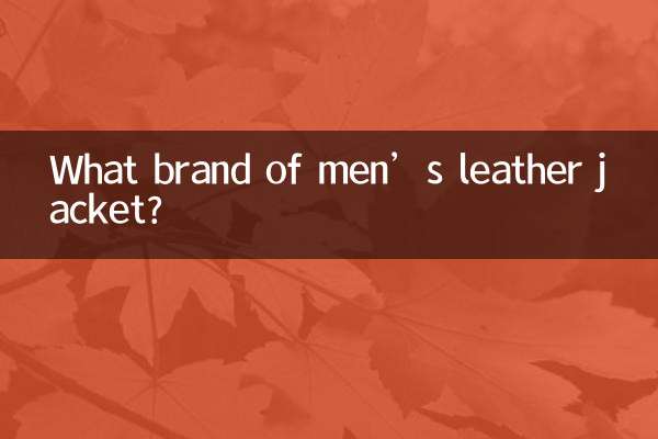 ما هي ماركة السترات الجلدية الرجالية؟