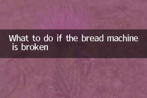 What to do if the bread machine is broken