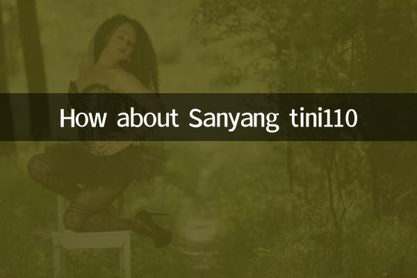 सान्यांग टिनी110 के बारे में क्या ख्याल है?