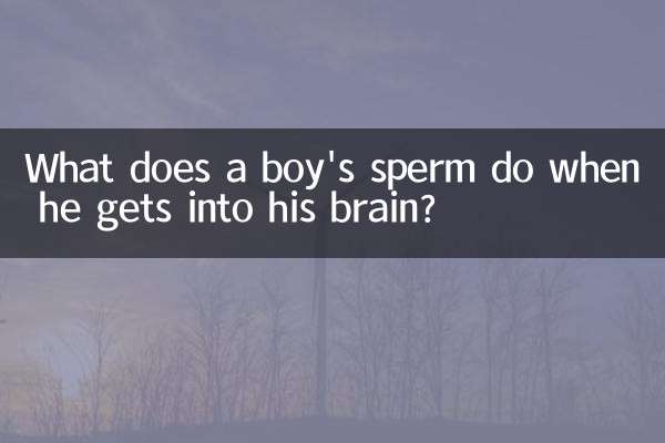 소년의 정자가 뇌에 들어가면 어떤 일을 합니까?