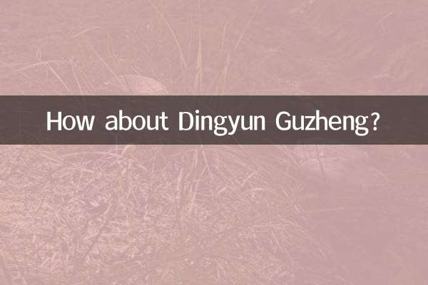 Che ne dici di Dingyun Guzheng?