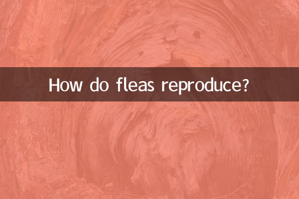 Comment les puces se reproduisent-elles ?