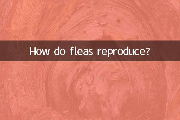 Comment les puces se reproduisent-elles ?