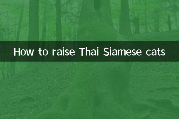 How to raise Thai Siamese cats