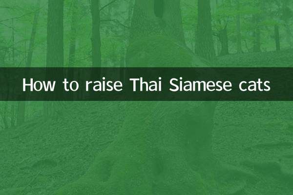 How to raise Thai Siamese cats