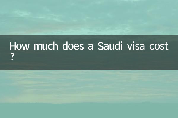 How much does a Saudi visa cost?