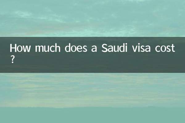 How much does a Saudi visa cost?