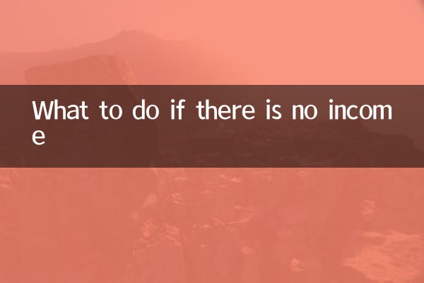 در صورت نداشتن درآمد چه باید کرد