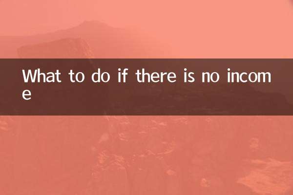 What to do if there is no income