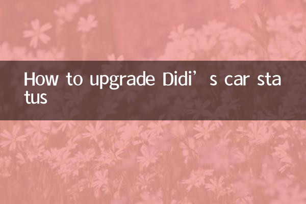 How to upgrade Didi’s car status
