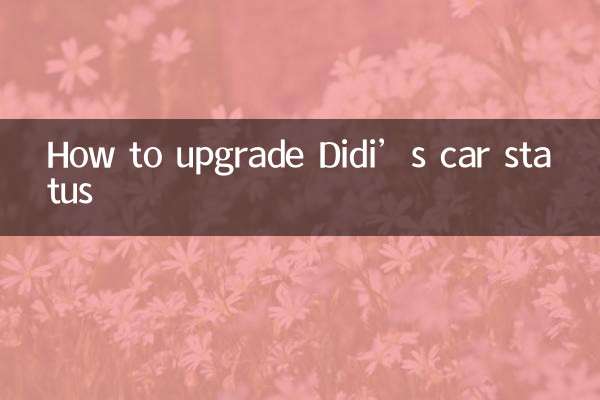 How to upgrade Didi’s car status
