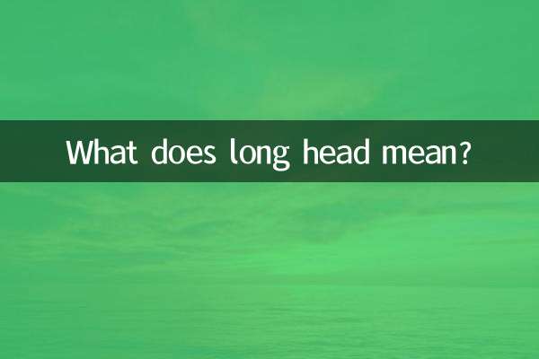 Cosa significa testa lunga?